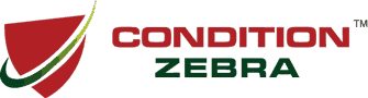 Condition Zebra | Cyber Security Company Malaysia