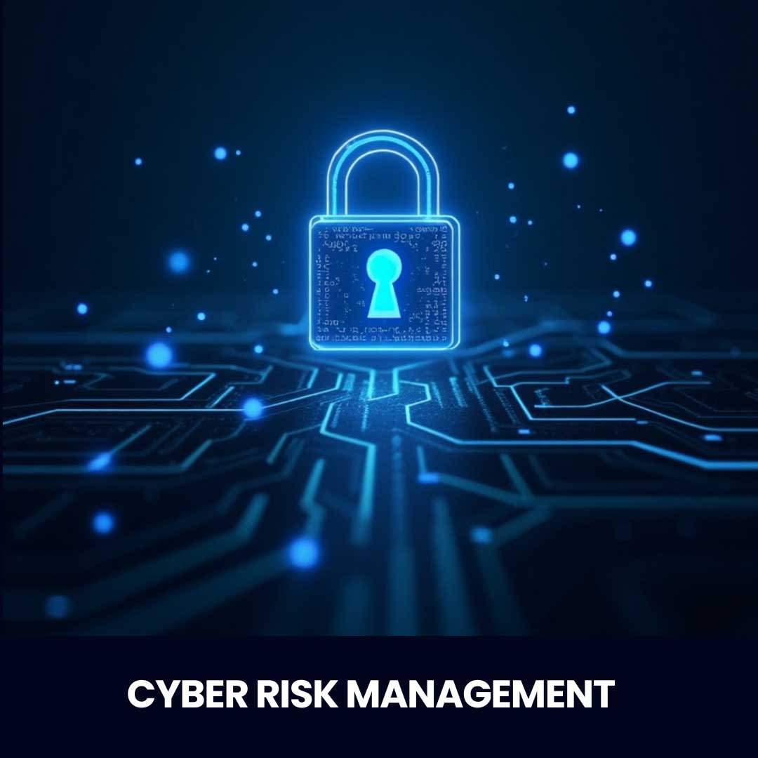 Cyber Risk Management